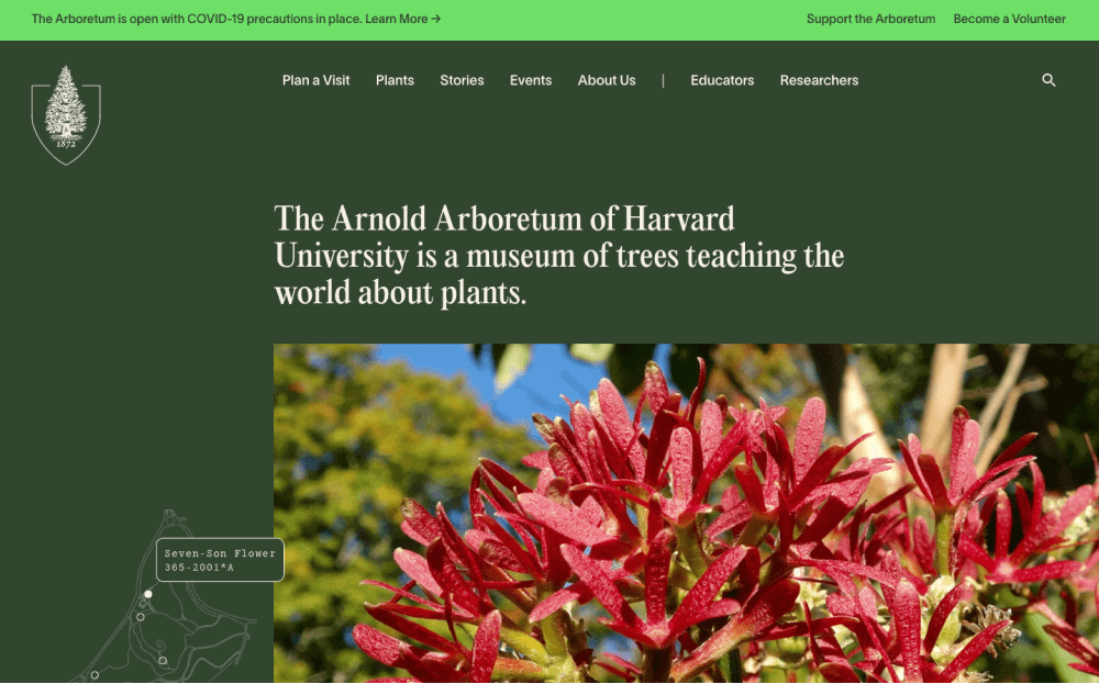 Arnold Arboretum thumbnail